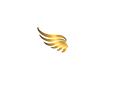 CareDriven Logo